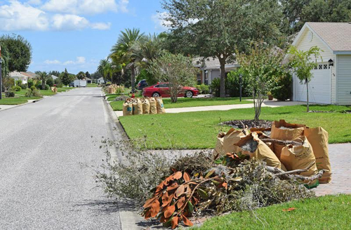 Junk Removal